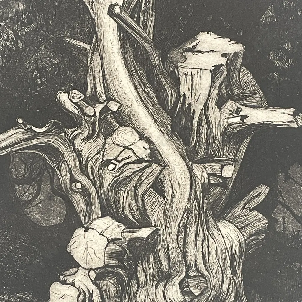 Signed Joan Taylor Etching titled "Tree Study" Numbered 1/30, dated '74. 48x63cm Image 1++