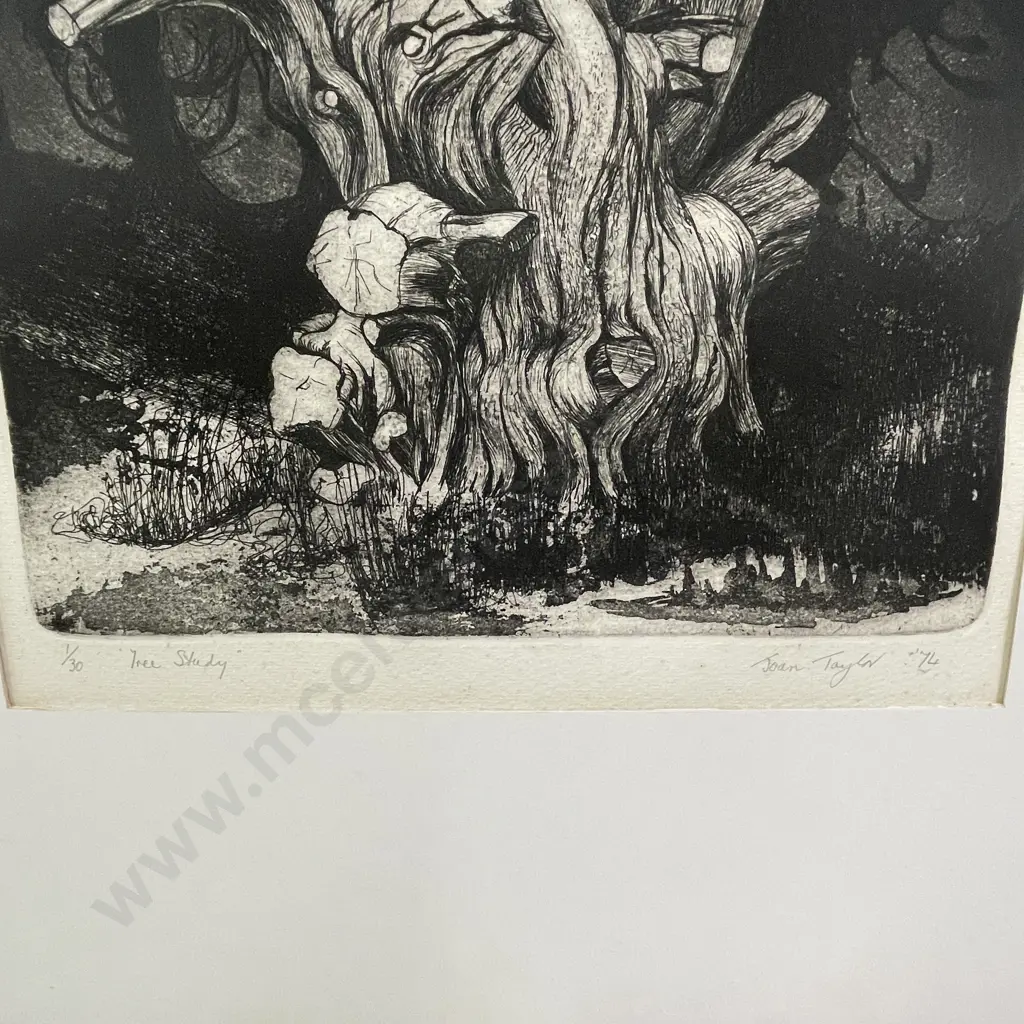 Signed Joan Taylor Etching titled "Tree Study" Numbered 1/30, dated '74. 48x63cm Image 1++