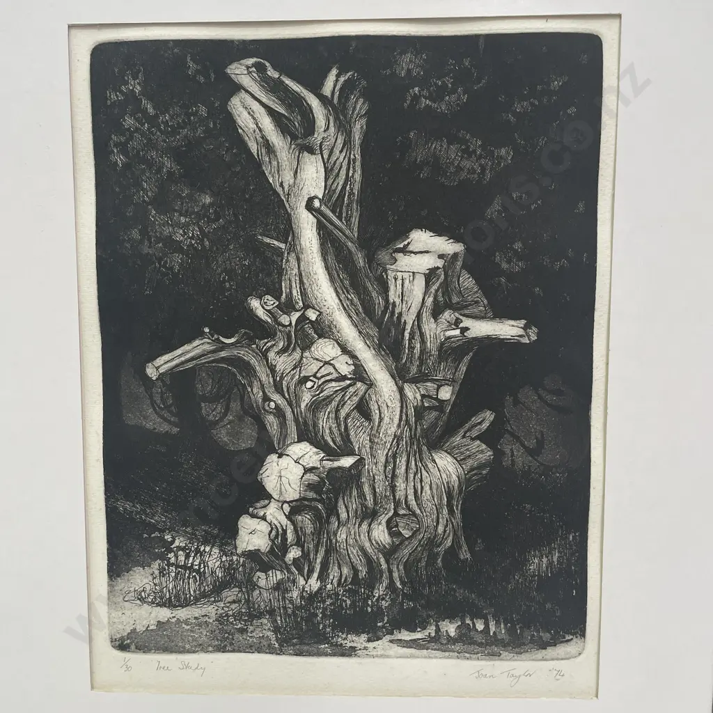 Signed Joan Taylor Etching titled "Tree Study" Numbered 1/30, dated '74. 48x63cm Image 1++