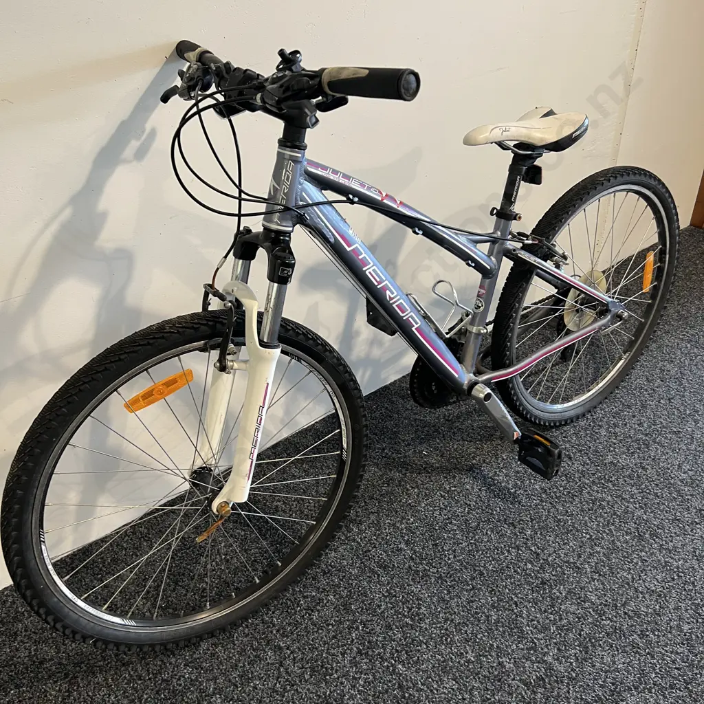 Merida Juliette 10 Ladies Bike, Grey/Purple/White, 37cm Image 1++