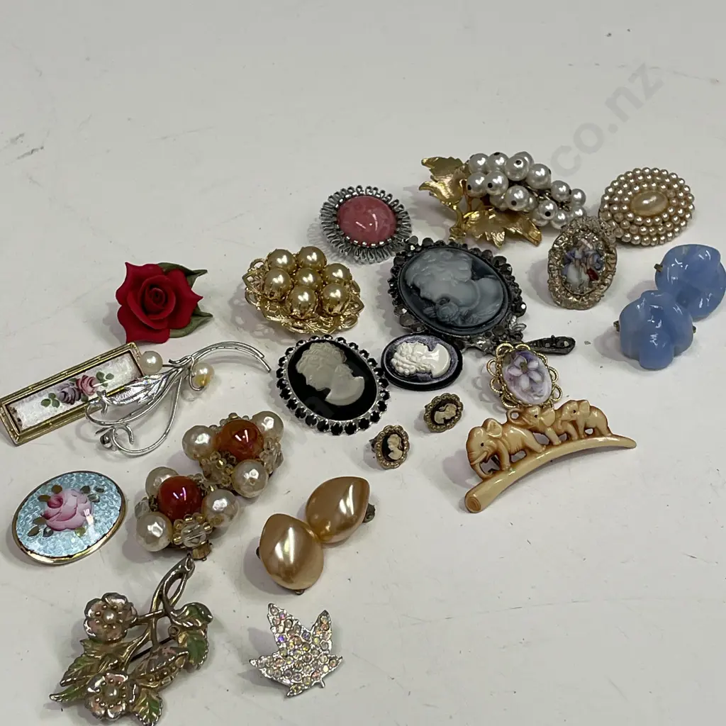 Assorted Vintage Brooches, Earrings etc Image 1++