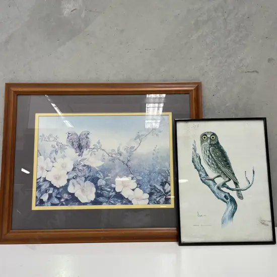 Two Framed Bird themed Artworks. 69 x 54cm and 41 x 31cm