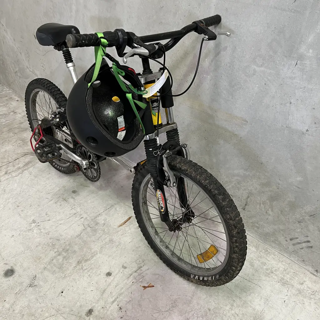 Repco Grommet 20 Bike with Black Helmet Image 1++