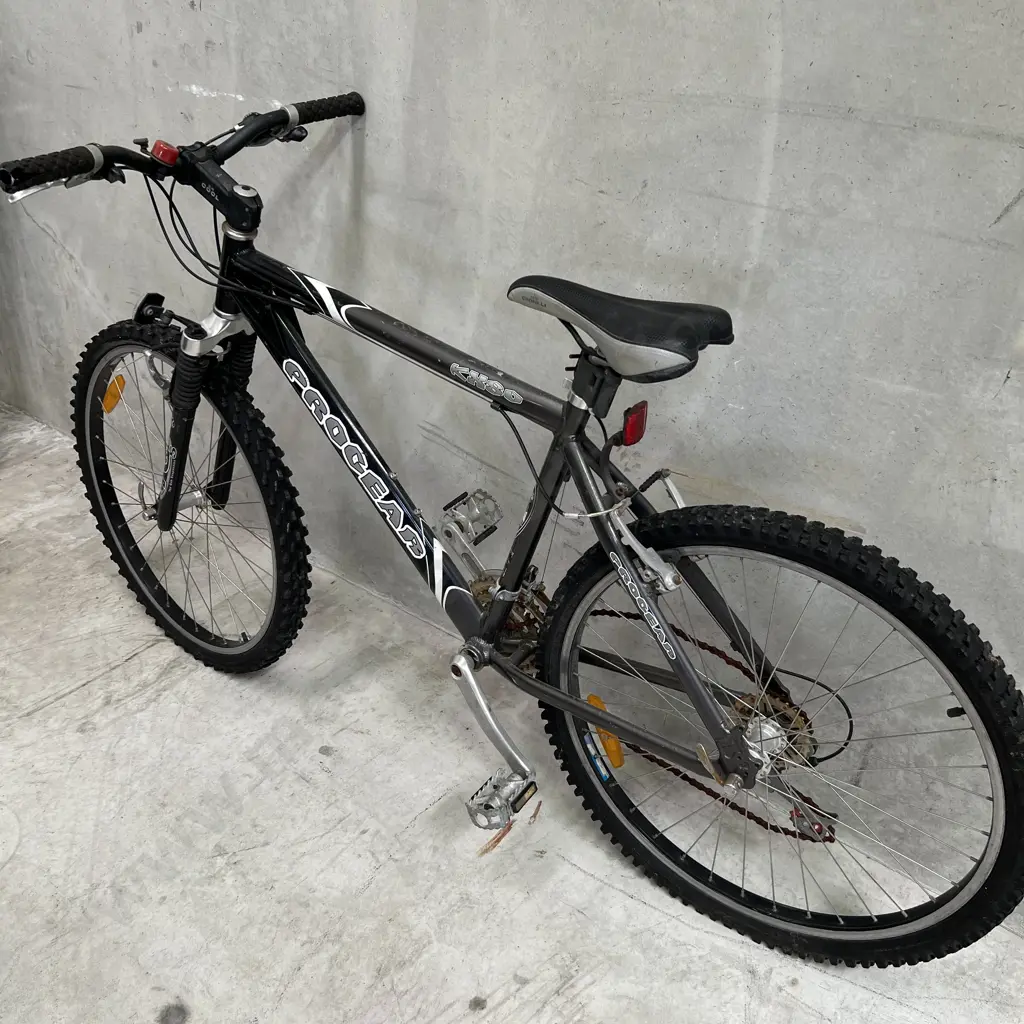 Progear KX80 Bike. Alumimum Alloy 7005 Heat Treated Frame. Front Shocks. Image 1++