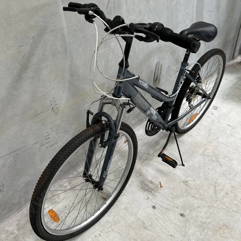 Repco Mosaic 18 Speed Ladies Bike Image 1++