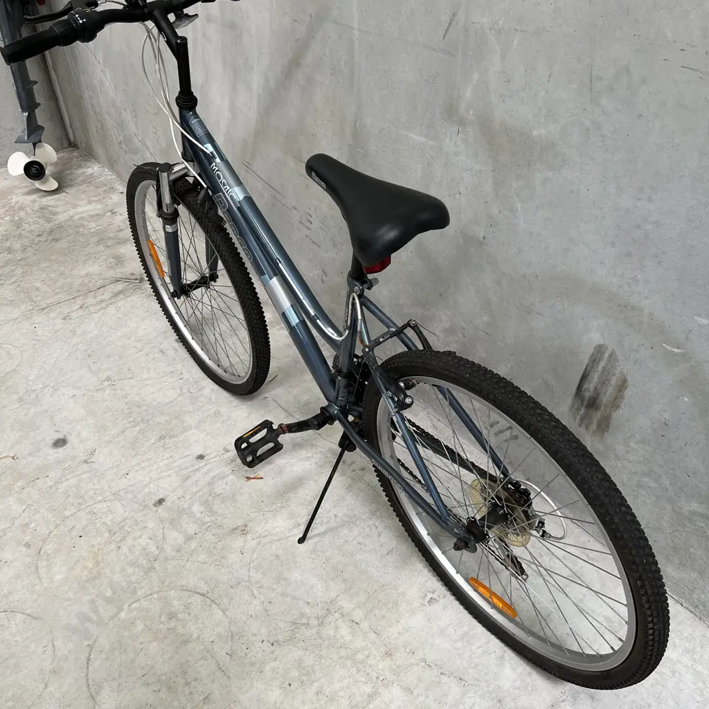 Repco Mosaic 18 Speed Ladies Bike Image 1++