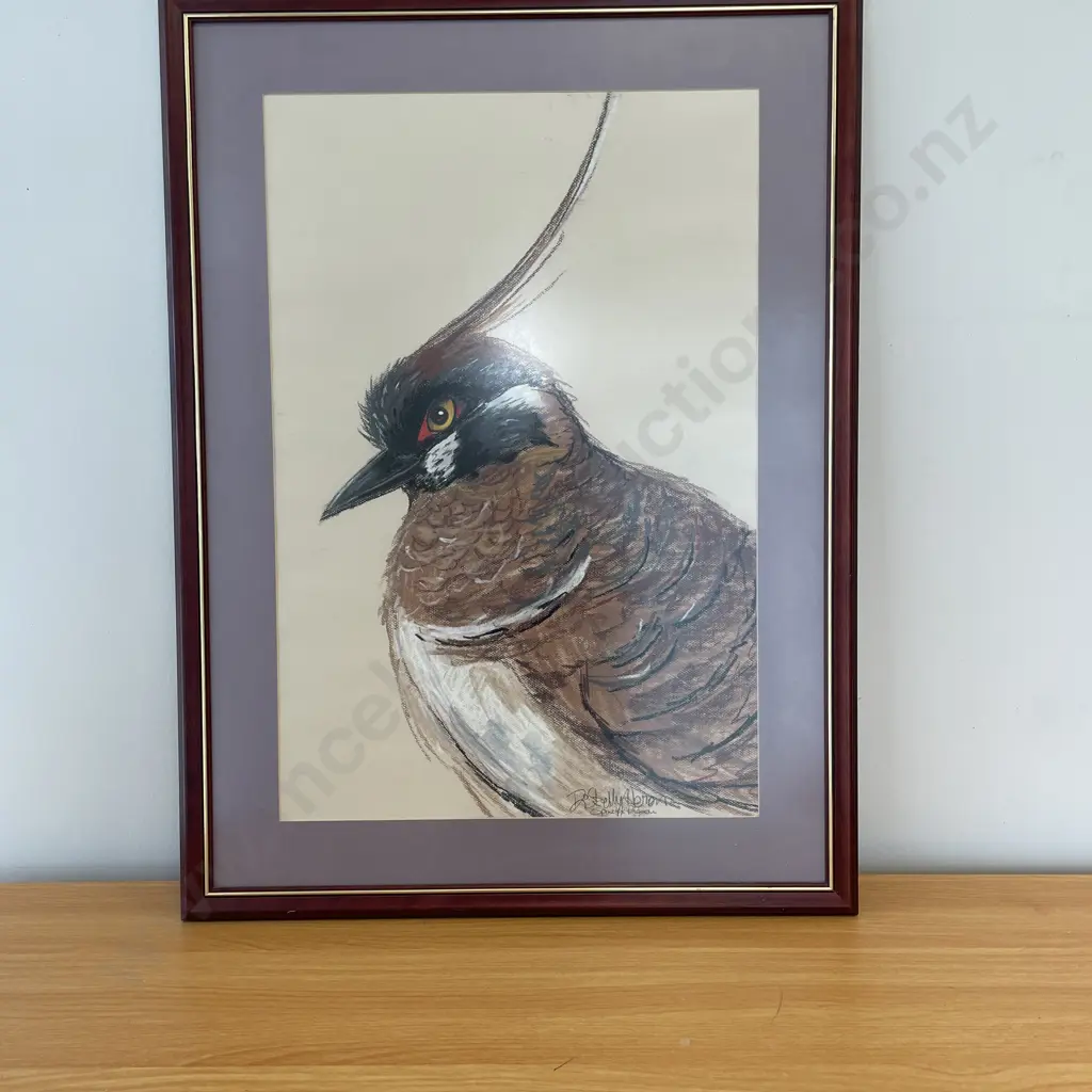 Framed Original Signed Artwork by Di Skelly Heron TItled "Spinifex Pigeon" 60 x 90cm Image 1++