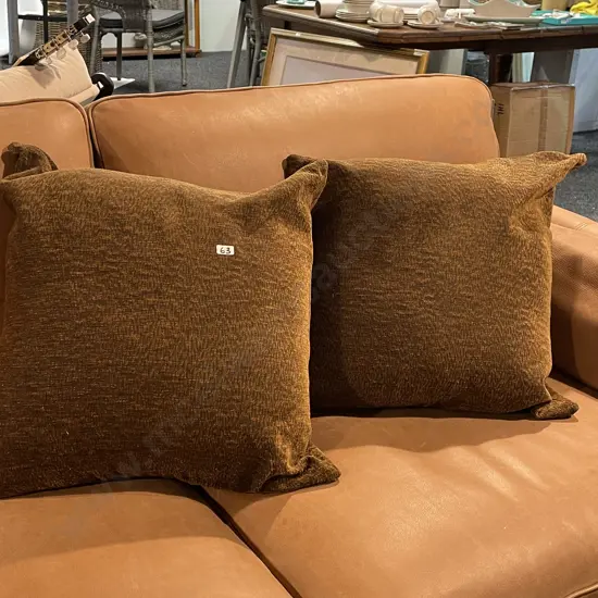 Two Large Feather Filled Designer European Cushions. Bronze gold colours