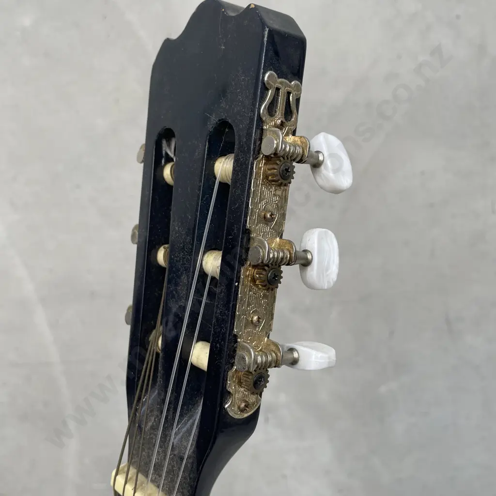 Ashton Acoustic Guitar, Model CG-34TBB Image 1++