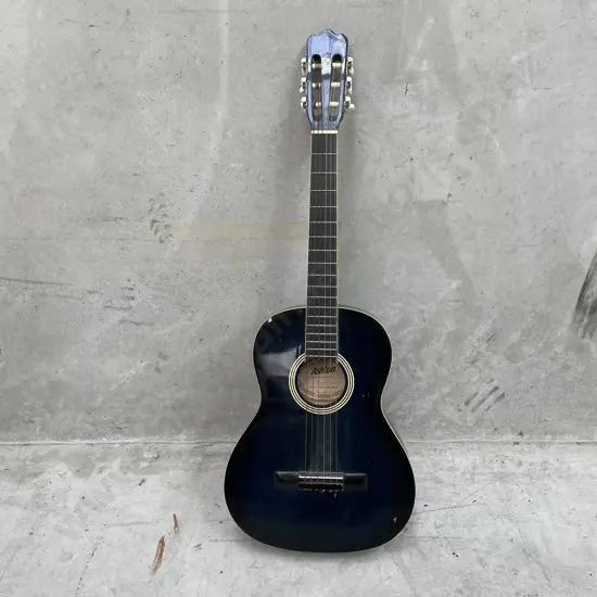 Ashton Acoustic Guitar, Model CG-34TBB