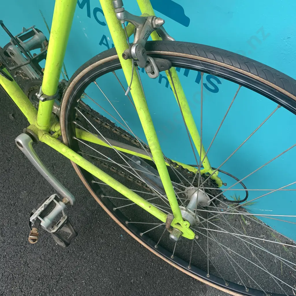 Tarini Firenza Triathlon Bike Image 1++