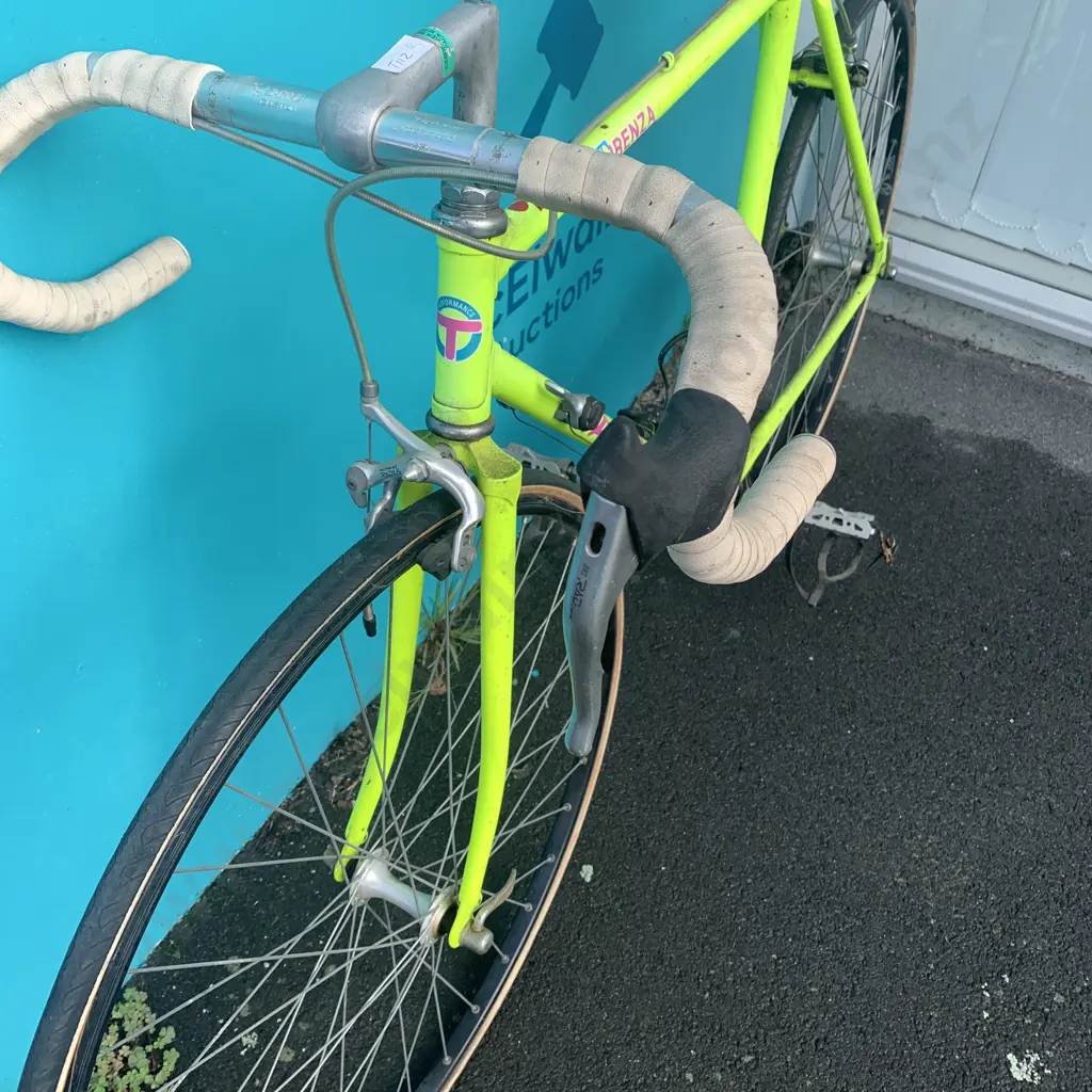 Tarini Firenza Triathlon Bike Image 1++