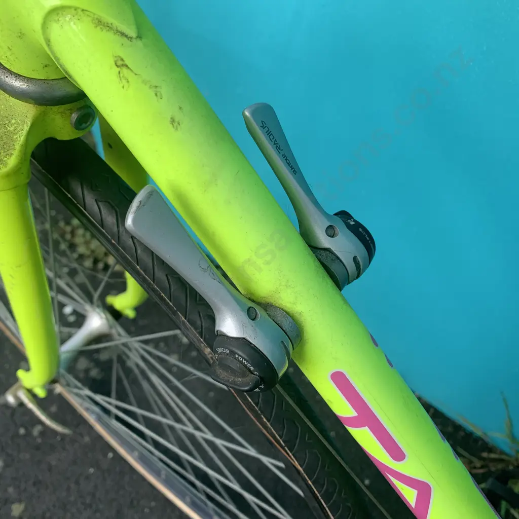 Tarini Firenza Triathlon Bike Image 1++