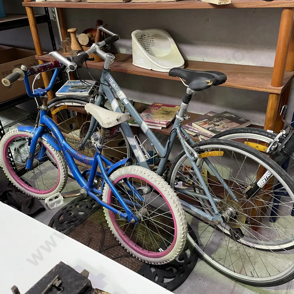 Grey Sublime 1 Women's Bike, Frame size M. with Vision Sapphire Childs Bike Image 1++