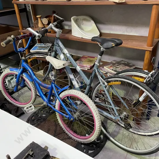 Grey Sublime 1 Women's Bike, Frame size M. with Vision Sapphire Childs Bike