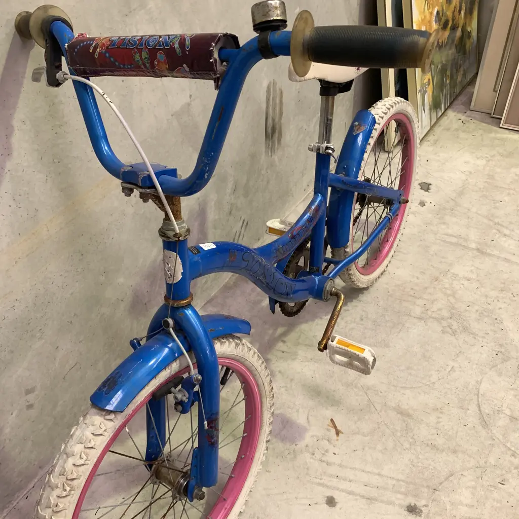 Vision Sapphire Childs Bike, serviced By Te Puke Alternative Education Students Image 1++