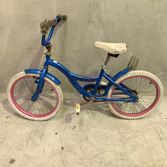 Vision Sapphire Childs Bike, serviced By Te Puke Alternative Education Students
