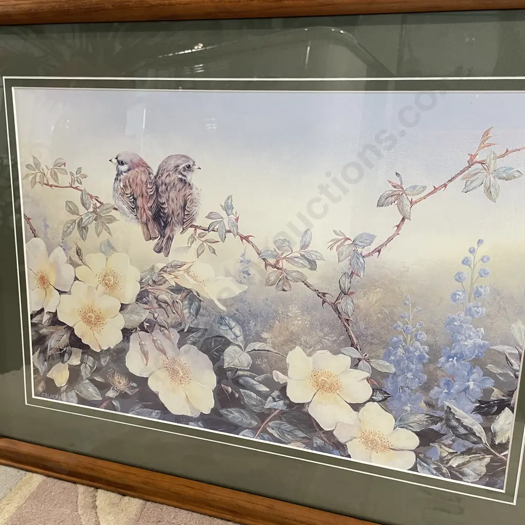 2 Framed Artworks. Oil on Board, by Noreen Miller, and 'Fantail Chicks' Print Image 1++