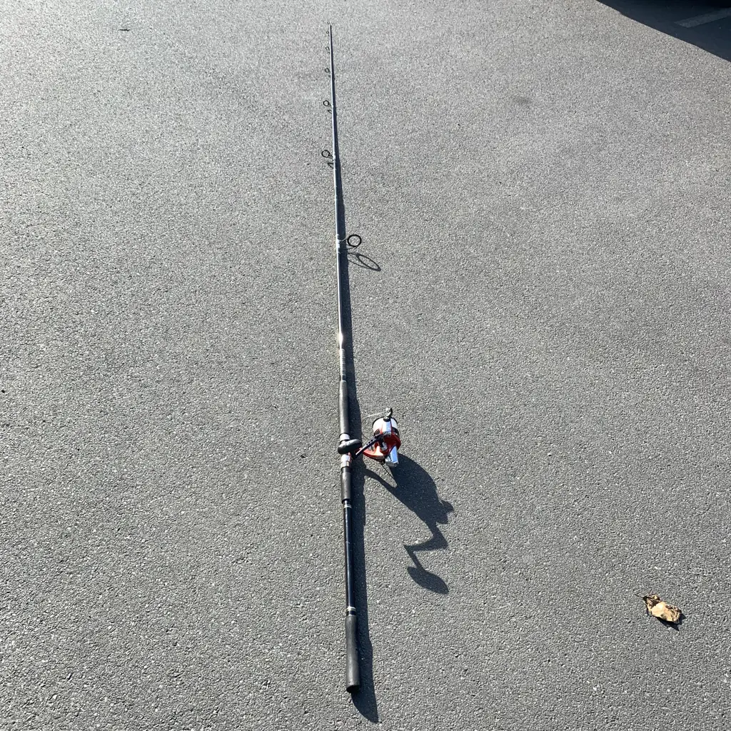 Daiwa Emcast Sport 4500 2 Piece Fishing Rod and Reel Image 1++