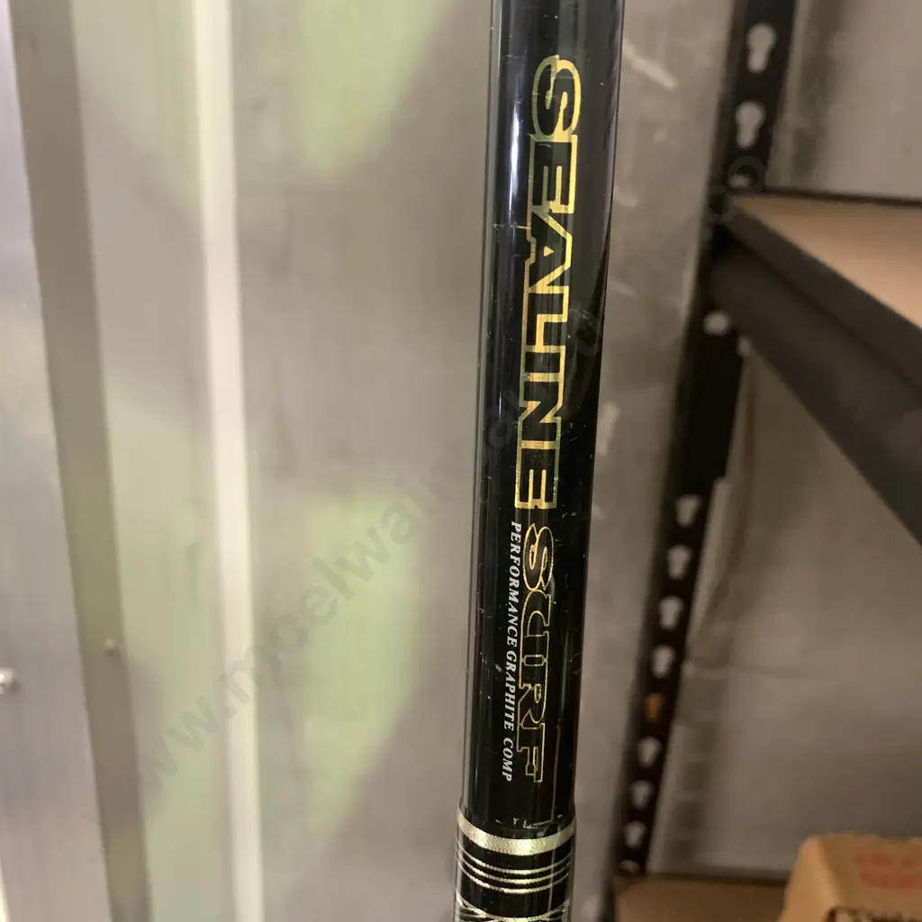 Daiwa Emcast Sport 4500 2 Piece Fishing Rod and Reel Image 1++