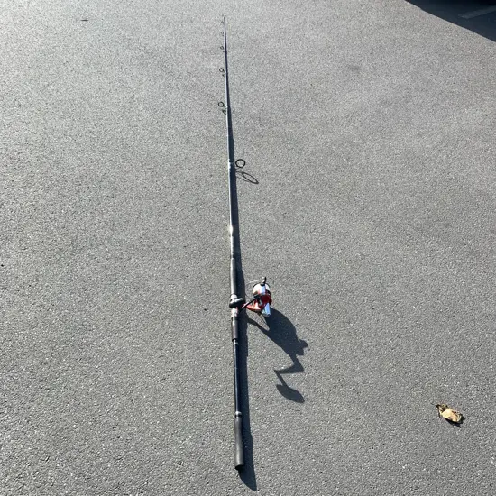 Daiwa Emcast Sport 4500 2 Piece Fishing Rod and Reel