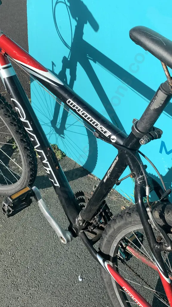 Giant Upland SE Mountain Bike Image 1++