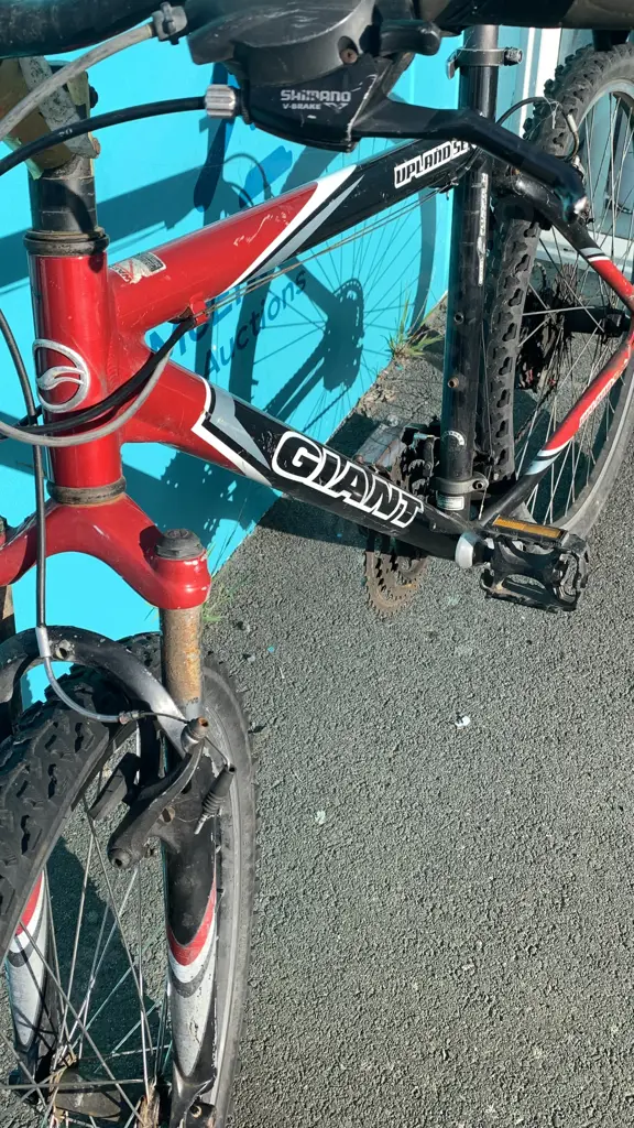 Giant Upland SE Mountain Bike Image 1++