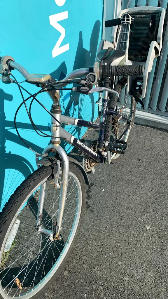 Schwinn Frontier Limited Edition Size 15 Bike with Childs Carry Seat attached Image 1++