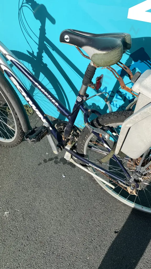 Schwinn Frontier Limited Edition Size 15 Bike with Childs Carry Seat attached Image 1++