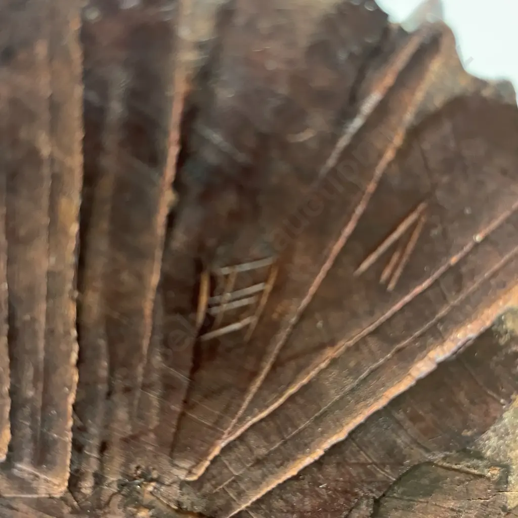 Chinese Carved Rosewood Mythical Dragon figurine. Glass eyes. Signed on base. H36cm Image 1++