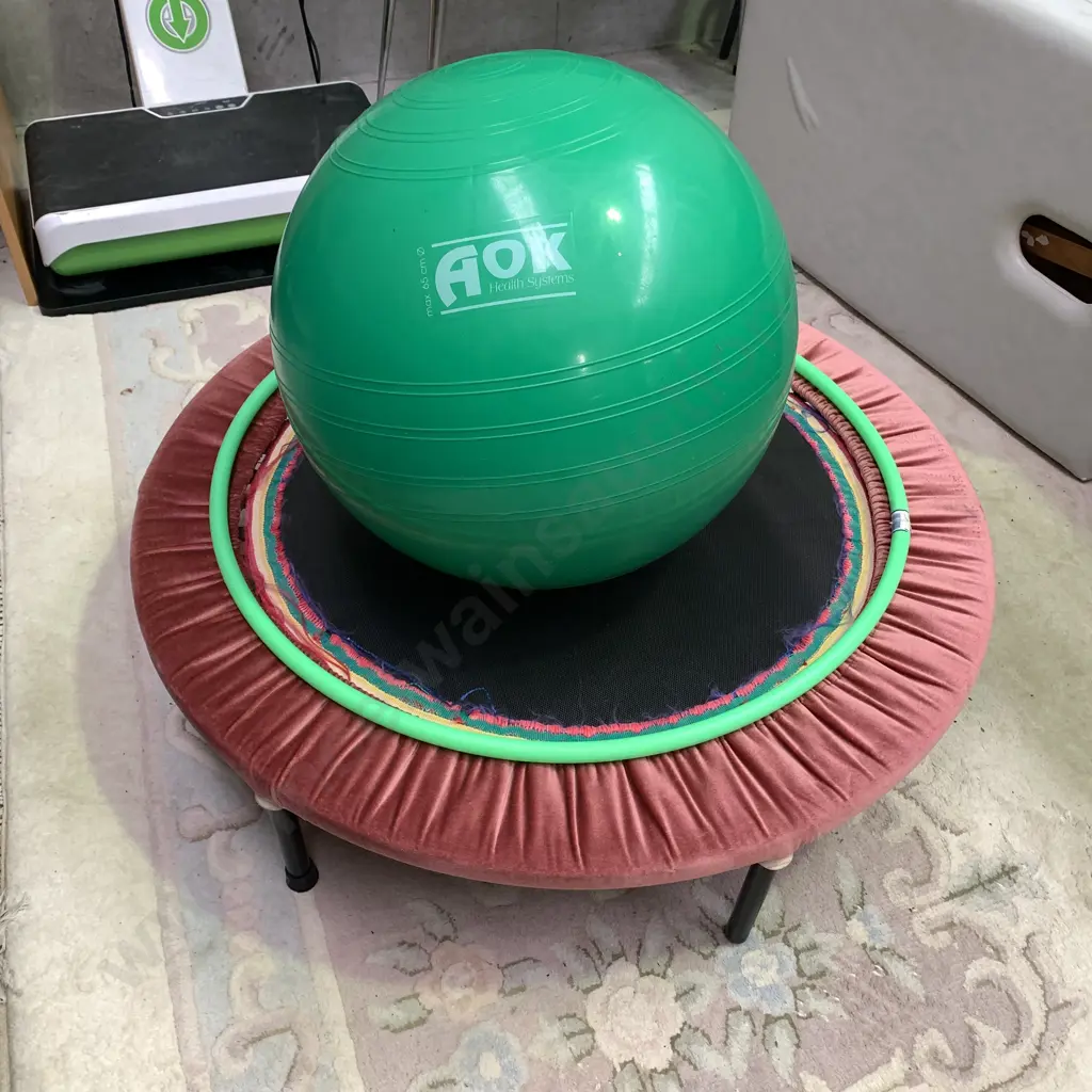 Trampoline Rebounder with Swiss Ball and Hula Hoop Image 1++
