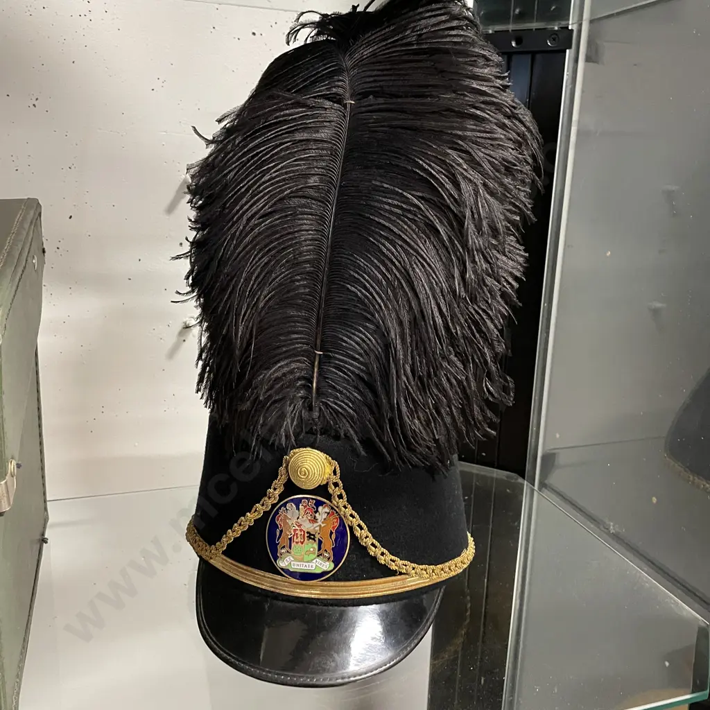 Rare 20th Century South African State Presidents Guard Shako with ostrich plume. Comes with case Image 1++