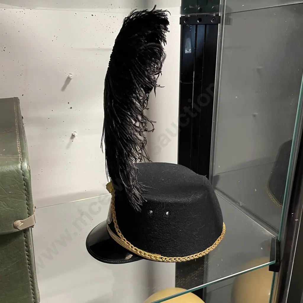 Rare 20th Century South African State Presidents Guard Shako with ostrich plume. Comes with case Image 1++