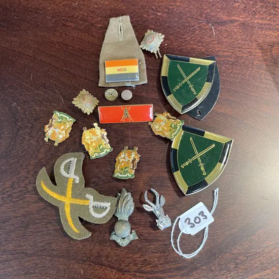 Assortment of Lapel Badges etc