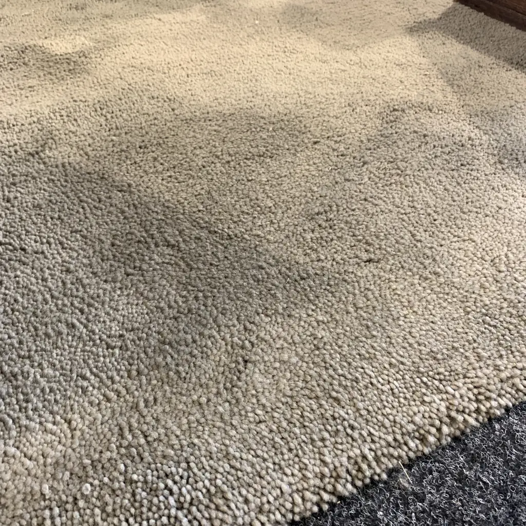 Extra Large Wool Pile Floor Rug. Grey. 4 metres by 3 metres Image 1++