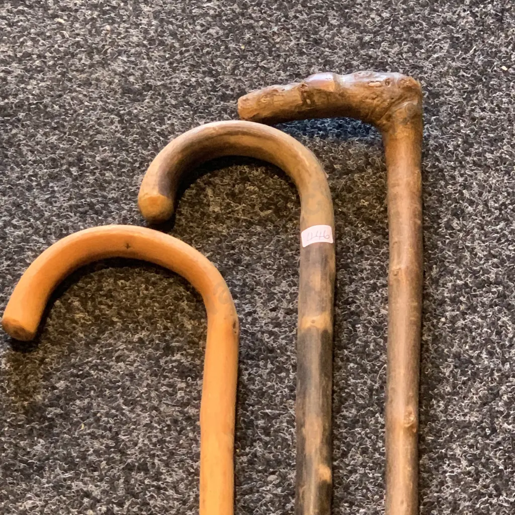Assorted Vintage Walking Sticks Image 1++