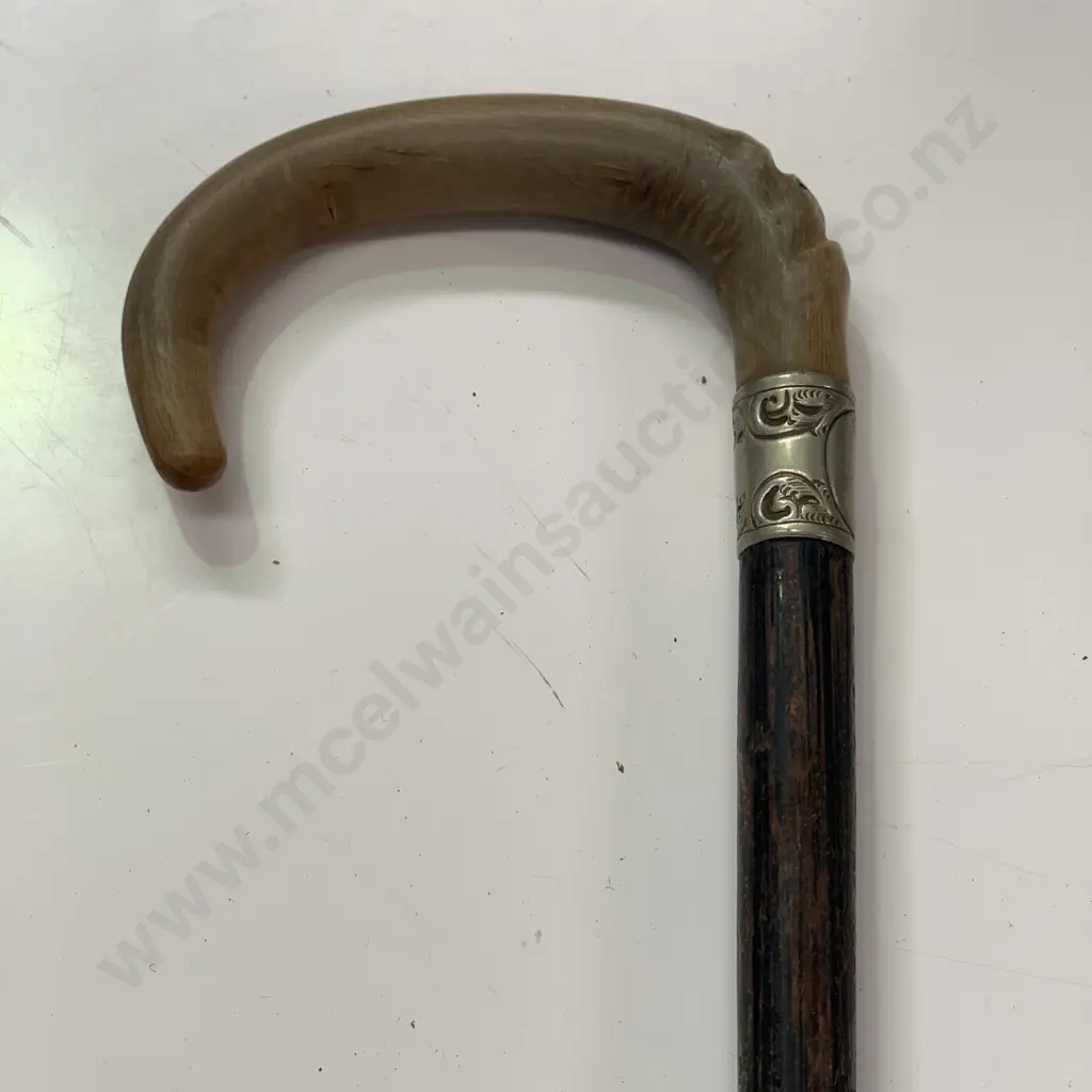 Vintage Wooden Walking Stick with Horn handle Image 1++